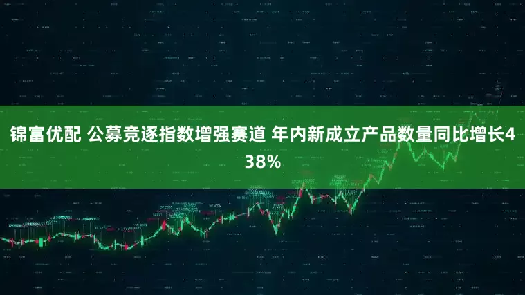 锦富优配 公募竞逐指数增强赛道 年内新成立产品数量同比增长438%