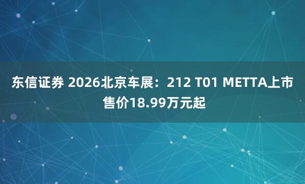 东信证券 2026北京车展：212 T01 METTA上市 售价18.99万元起
